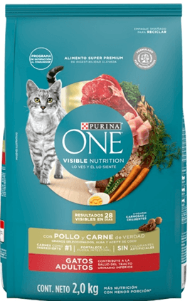 ONE GATO ADULTO POLLO/CARNE x 2KG