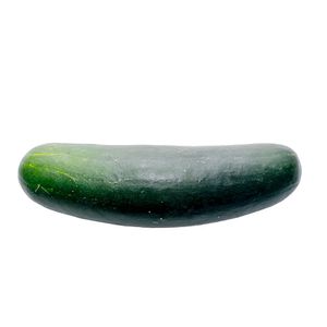 Pepino Cohombro