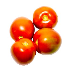 Tomate chonto