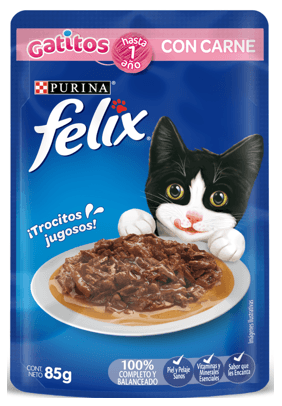 ALIMENTO PARA GATITOS FELIX CARNE*85GR
