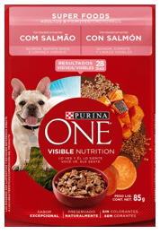 ALIMENTO PARA PERROS ONE SALMON*85GR