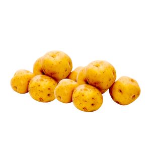 Papa Criolla