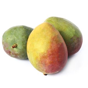 Mango Tomy