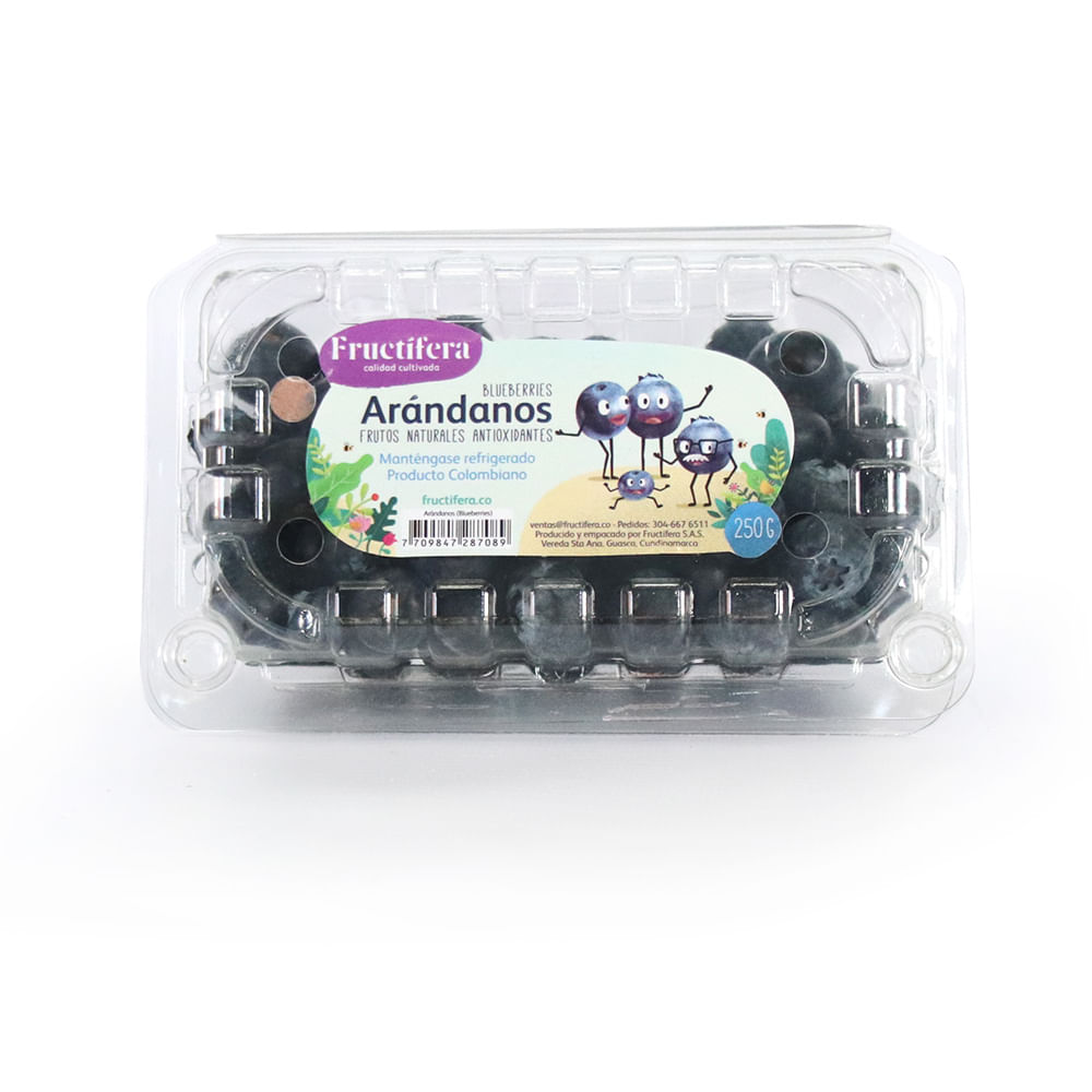 ARANDANOS FRUVER*250GR