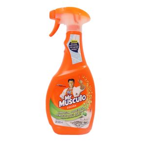 DESENGRASANT MR MUSCULO REGUL PIST*500GR