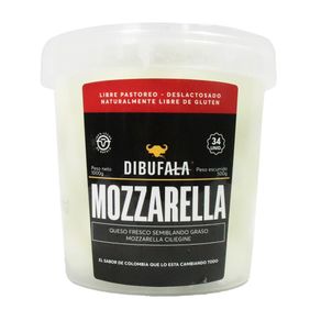 QUESO MOZZARELLA BUFALA X 34 UDS