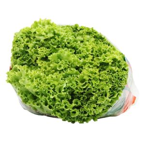 Lechuga Verde Crespa Camsal*220 gr