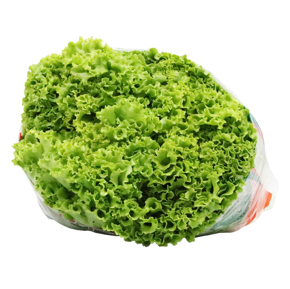 LECHUGA VERDE CRESPA CAMSAL*220GR