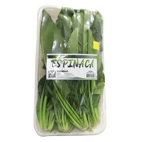 ESPINACA COMPOSTABLE CAMSAL*120GR