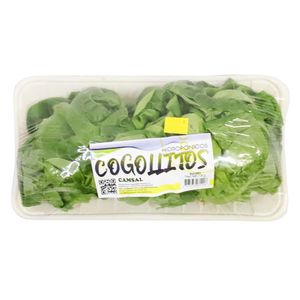 Cogollos Hidroponicos Camsal*120 gr