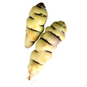 Cubios
