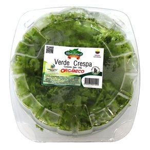 LECHUGA VERDE CRESPA ORGANICA *120GR PET
