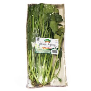 ESPINACA BOGOTANA ORGANICA *130GR BAND