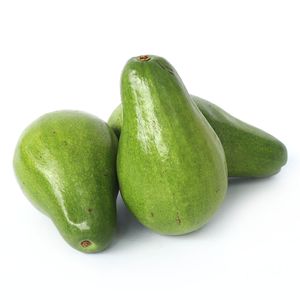 Aguacate Lorena
