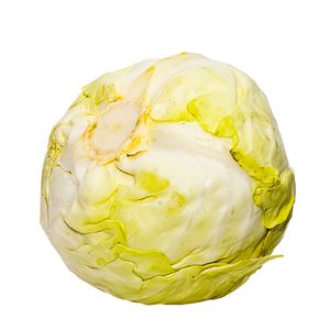 Repollo Blanco