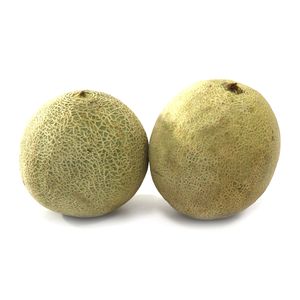 Melon Cantalup