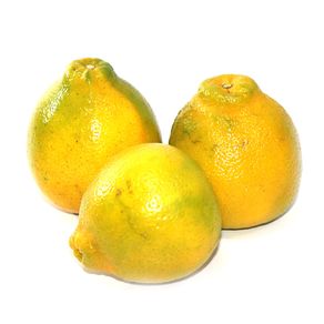 NARANJA TANGELO MINEOLA