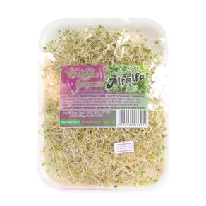 GERMINADOS DE ALFALFA x 100GR