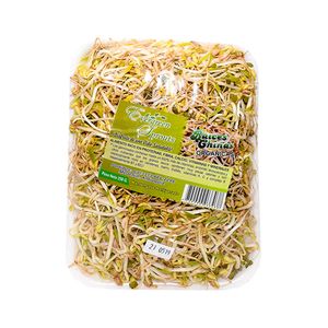 RAIZ CHINA BANDEJA x 250GR