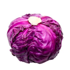 Repollo Morado