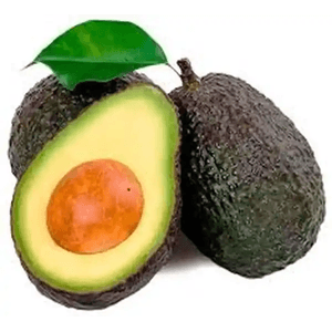 Aguacate Hass