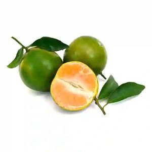 Mandarina Clementina