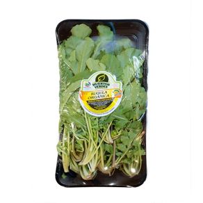 RUGULA ORGANICA x 150G BANDEJA