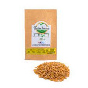 SEMILLAS ORGANICAS ONC TRIGO x 40 GR