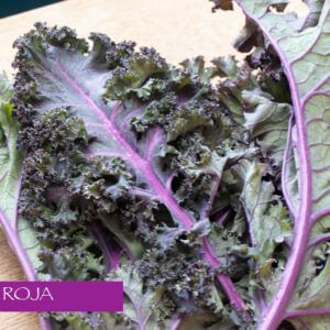 Semillas Organicas Onc Kale 40 g