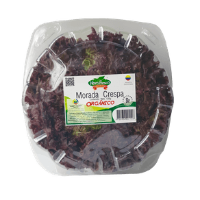 LECHUGA MORADA CRESPA ORGANICA 120G PET