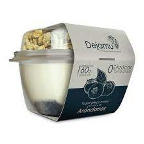 YOGURT GR PARFAIT DEJAMU ARANDANO *160G