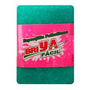 ESPONJA PLASTICA x 1U BRIYA FACIL