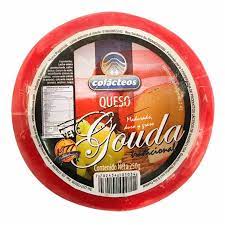 GOUDA HOLANDES COLACTEOS