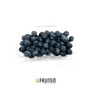 ARANDANO FRUVER CONGELADO *200GR