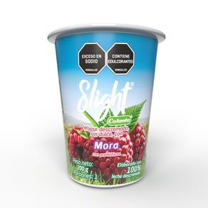 YOGUR SLIGHT DECREMAD MORA COLANTA*200GR