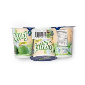YOGURT VASO FEIJOA BETANIA X3 *450GR