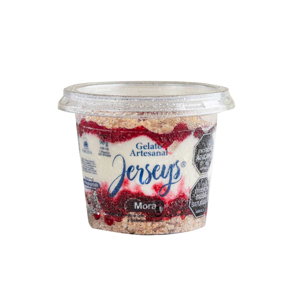 HELADO JERSEYS YOGURT MORA *90GR
