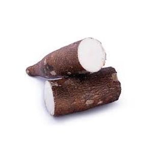 Yuca Parafinada