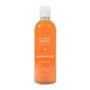Shampoo Antioxidante Long Lasting Mix De