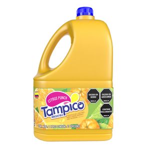 JUGOS TAMPICO GARRAFA  x  2LTS