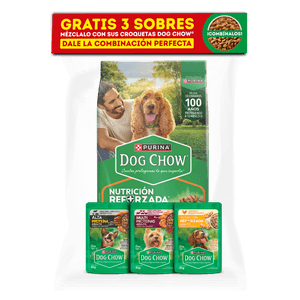 Dog Chow Adul Todos Los Tama*2 kg+3 Pouch