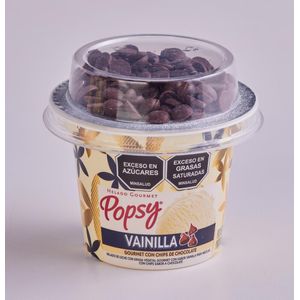 Vaso Helado Vainilla Gourmet+Chips*70 gr
